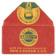 Anis A Karam