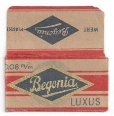Begonia Luxus