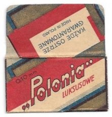 polonia Polonia Zyletka